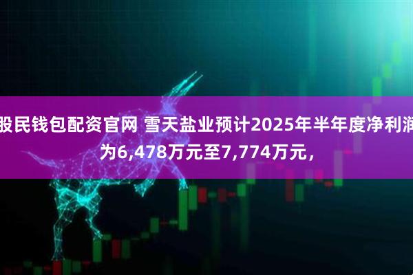 股民钱包配资官网 雪天盐业预计2025年半年度净利润为6,478万元至7,774万元，