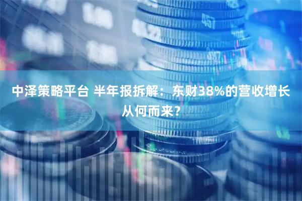中泽策略平台 半年报拆解：东财38%的营收增长从何而来？