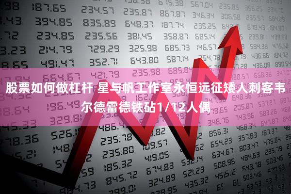 股票如何做杠杆 星与帆工作室永恒远征矮人刺客韦尔德雷德铁砧1/12人偶